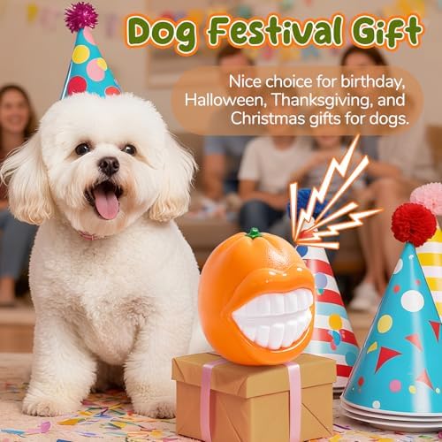 Squeak Dog Toys for Medium/Large Dogs, Dog Toys to Keep Them Busy,Interactive Dog Chew Toys for Enhance the Relationship with Dog,Dog Toy for Indoor Outdoor Water Play Catch,Gift for Dog