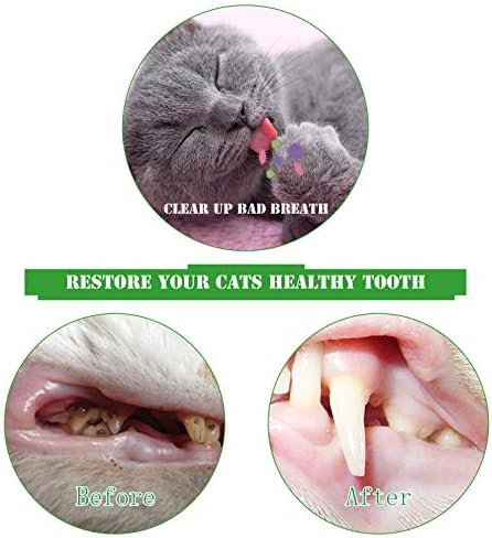 2 Pack Cat Toothbrush Catnip Toy, Crayfish-Shaped Safe Chewing Toy