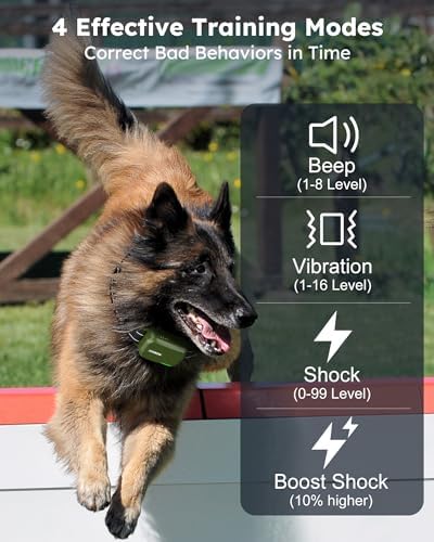 Shock Collar for 2 Dogs with Remote, 4200FT Range, Fits 10-120 lbs (Green)