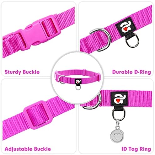 azuza Nylon Dog Collar and Leash Set, Strong & Durable Basic Style Leash and Collar with ID Tag Ring, Available in Multiple Lengths for Medium Dogs, Purple,M