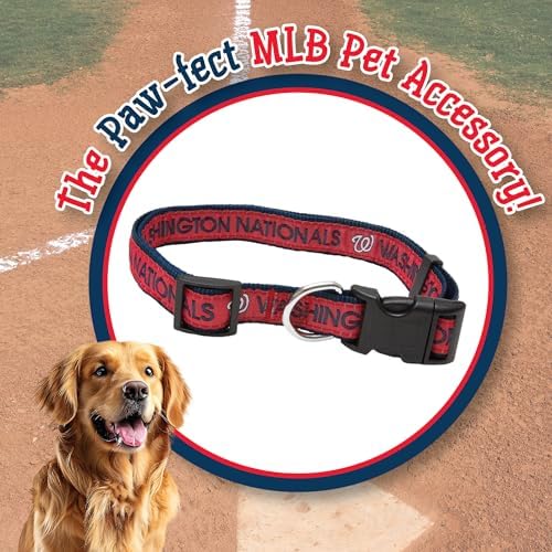 MLB Washington Nationals Licensed PET COLLAR- Heavy-Duty, Strong, and Durable Dog Collar. Available in 29 Baseball Teams and 4 Sizes