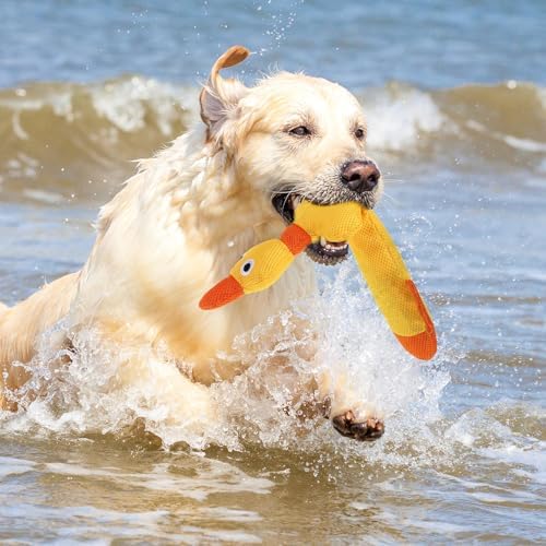 Mihachi Floating Dog Water Pool Toys 2 Pack for Swimming Pool, Interactive Crinkle Pet Puppy Chew Toys for Play and Training, Funny Duck Toy for Small Medium Large Breed, Wild & Yellow Duck