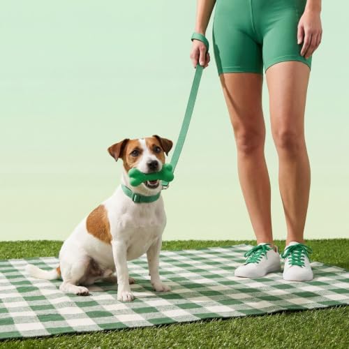 Playology Dual Layer Bone Dog Chew Toy - Medium, Watermelon Scent