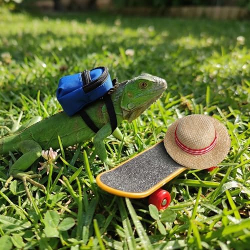 3 Pack Bearded Dragon Toy Set Includes a Bearded Dragon Backpack, an Adjustable hat, and a mini Skateboard Toy, for Small Reptile Pets Such as Lizards, Hamsters, Parrots, and Turtles.（Blue）