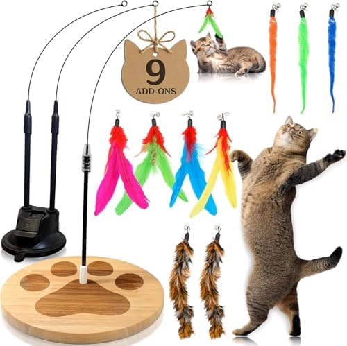 Cat Toys For Indoor Cats: Interactive Cat Toy Wand, 9 Feathers Wand Lures
