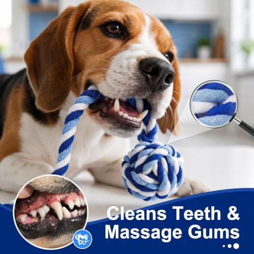 Dog Rope Toys for Small Dogs & Puppies, Blue Cotton Teething Toys