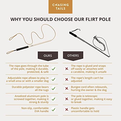 Chasing Tails Flirt Pole for Small Dogs - 26 Inch with 70 Inch Rope and Two Toys -Interactive Play Equipment for Small and Medium Breeds - Durable and Fun Exercise Tool for Active Pets