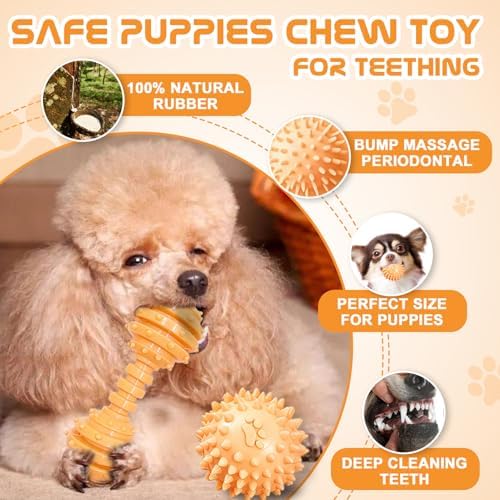 Puppy Toys - 7 Pack Puppies & Small Dogs Chew Toys for Teething,Relieves Teething Anxiety, Soft & Durable Interactive Toys, Not for Heavy Chewer