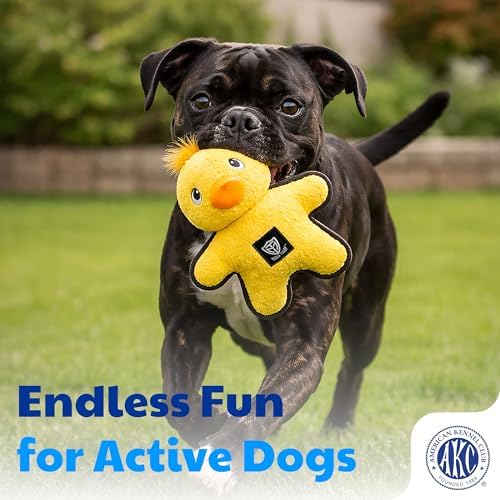 American Kennel Club Plush Dog Toy with Squeaker for Moderate Chewers, Soft Stuffed Dog Toy for Tugging, Fetch & Interactive Play, Gentle on Teeth
