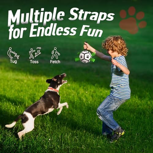 QDAN Small Dog Toys, Outdoor Soccer Ball with Straps, Puppy Birthday Gifts | Interactive Training Soccer Toys for Tug, Dog Water Toy, Durable Puppy Balls for 5-20 lbs Small Dogs, Puppy Birthday Gifts