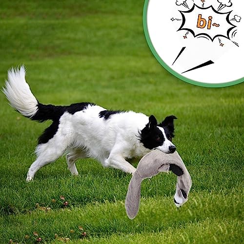 Flirt Pole for Dogs,Collapsible Extendable Dog Teaser Wand with Plush Squeaky Toy、Chase Rope, Ball Toy, Agility Training Equipment Playing Exercise Tools for Small Medium Large Dogs