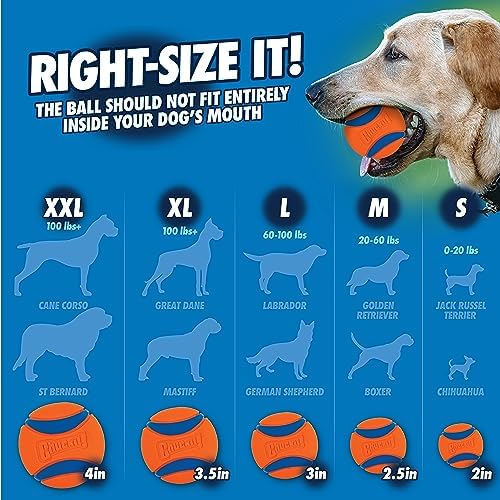 Chuckit! Sport 25M Dog Ball Launcher, 25in Length, Includes Medium Ball
