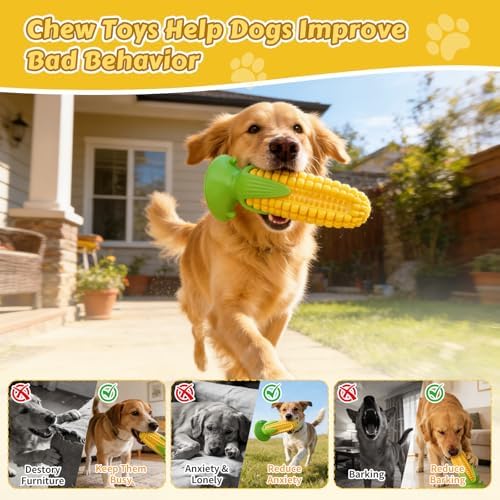 Dog Chew Toys Floating Squeaky Toy