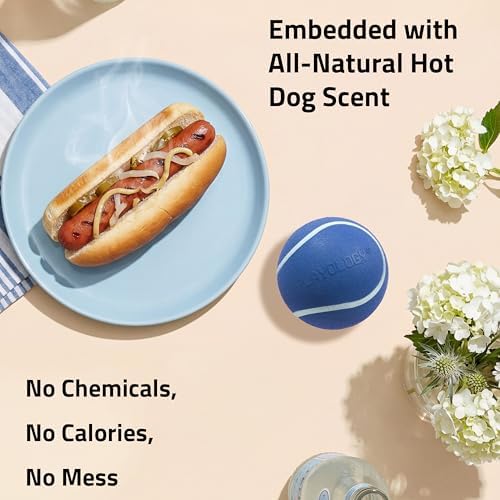 Playology Squeaky Chew Ball Dog Toy - Small, Hot Dog Scent, 3-Pack