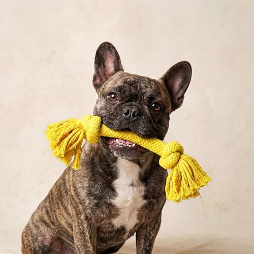 Playology Dog Toys | Dri-Tech Rope Toy Tug of War Rope for Aggressive Chewers | Medium Chicken Scented Toy - Easy to Clean and Made from Non Toxic Materials