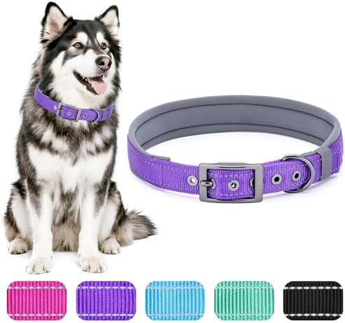 Segarty Reflective Purple Girl Dog Collar, Adjustable Wide Soft Comfortable Breathable Neoprene Padded Nylon Collar with Heavy Duty Metal Buckle for Extra Large Breeds (XL, Purple)