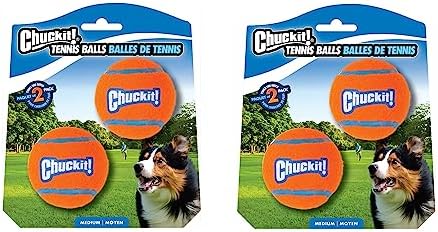 Chuckit! Dog Tennis Ball Dog Toy, (2.5 Inch Diameter) for Dogs 20-60 lbs, Medium (Pack of 48)