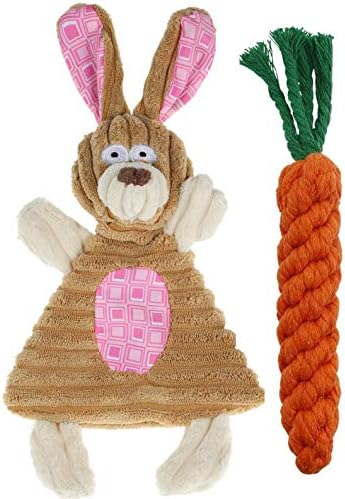 BoomBone Easter Dog Toys for Small Dogs 2 Pack, Carrot Dog Rope Toy and Bunny Crinkle Puppy Toy