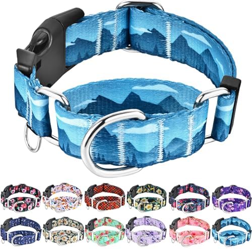 Martingale Collar for Dogs with Buckle Dog Collar Adjustable Soft Nylon Boy Dog Collars for Large Dogs, Blue Sunset