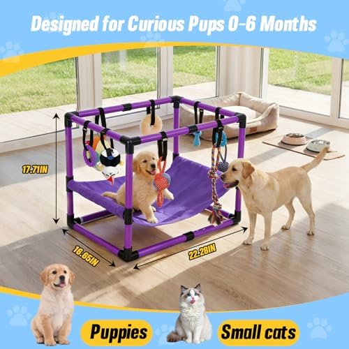 Purple Puppy Play Gym with 8 Hanging Toys