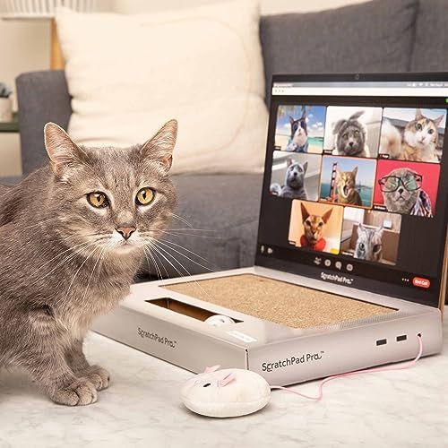 WHAT DO YOU MEME? Paws & Relax Pet Massager