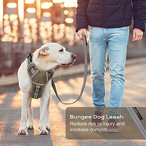 No Pull Dog Harness for Large Dogs, Adjustable No Choke Pet Vest with Dog Leash Fit Smart Reflective Pet Walking Harness for Training Easy Control Soft Handle Brown L