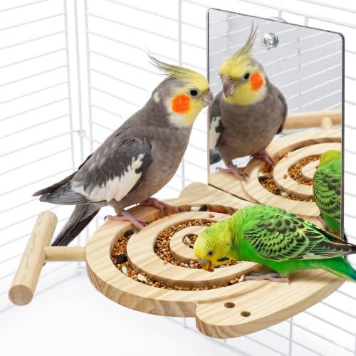 Bird Foraging Toys with Perch & Mirror, Easy for Novice/Older Birds