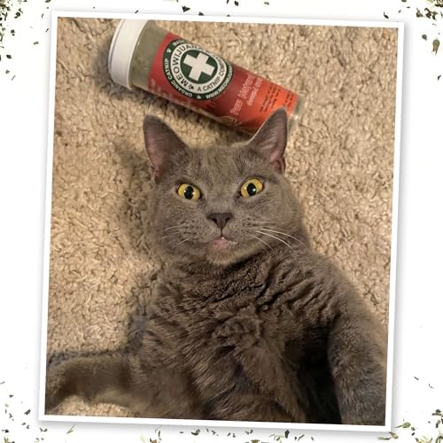 Meowijuana Get Smoked Cat Toy & Catnip Bundle | Refillable Plush, Blend