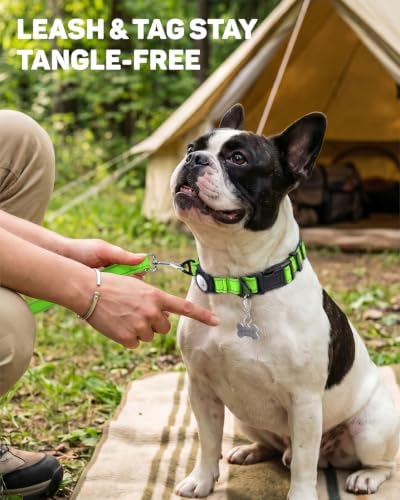 Padded Dog Collar with Waterproof Holder Compatible with Airtag