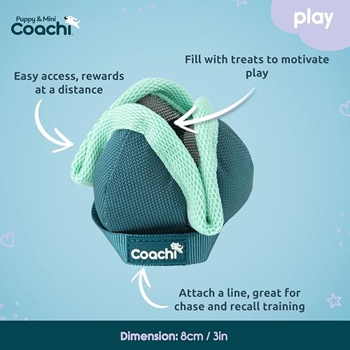 Coachi Puppy & Mini Chase & Treat - Great for Play and Chase