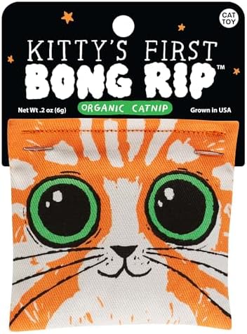 Blue Q Catnip - Cute Cat Toys for Biting w/Funny Graphics - First Bong Rip