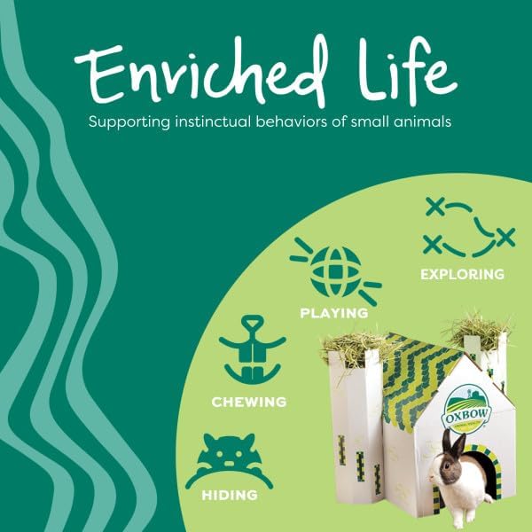 Oxbow Enriched Life Celebration Cupcake - Toy for Rabbits, Guinea Pigs, Hamsters, Rats