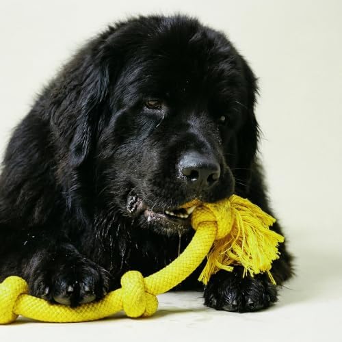 Playology Tug Rope Dog Toys for Large Breed Dogs - Mega Size, Chicken Scent