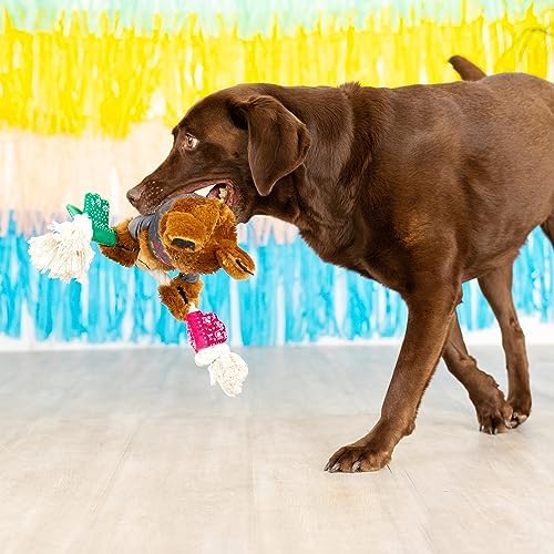 Fringe Studio Plush Dog Toy, Tacos & Tequila, Pet Shop Collection (314158)