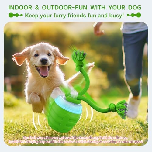 Interactive Dog Toy, [Newly Upgraded] Motion Activated Rolling Ball for Small Dogs, Automatic Moving Dogs Ball for Boredom, USB Rechargeable(Green)