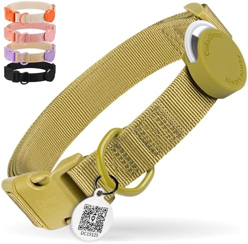CollarDirect Airtag Nylon Dog Collar Silicon Holder Designed for Apple Airtag with QR Tags Personalized Dogs Puppies 5 Colors Black Pink Violet Green Orange (Green, L)