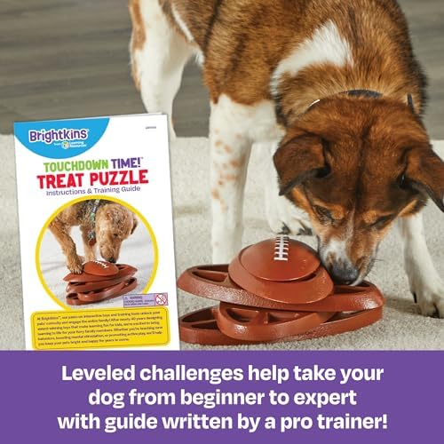 Learning Resources Brightkins Touchdown Time Treats Puzzle - Enrichment Puzzle Toys for Dogs Mental Stimulation, Gift for Puppies