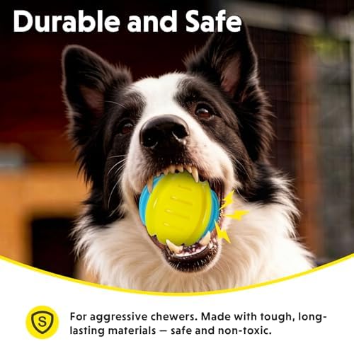 Dog Toy Ball, Indestructible Squeaky Ball for Aggressive Chewers, 3" TPR Rubber Clean Teeth, Relieve Anxiety & Boredom, Interactive Fetch Toy for Medium Large Dogs, Pools &Outdoor Play (Yellow)
