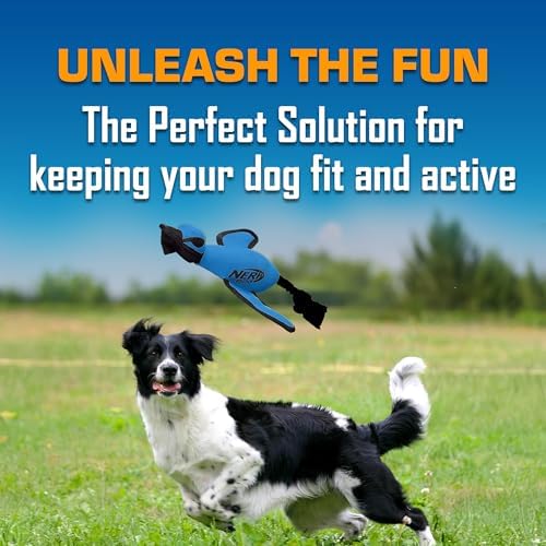 Nerf Dog Large Nylon Launching Duck with Interactive Design, Blue (3473), for All Breed Sizes