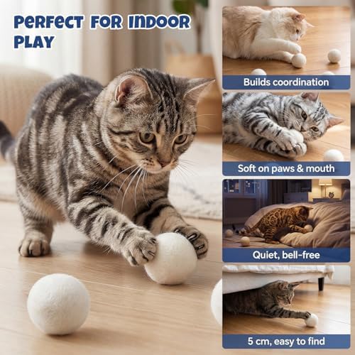 Wool Cat Balls 6 Pack, 100% New Zealand Handmade Wool Felt Cat Toys Balls 2 Inches, Kitten Toys Cats for Indoor Play & Exercise (6 Pack,Natural White)