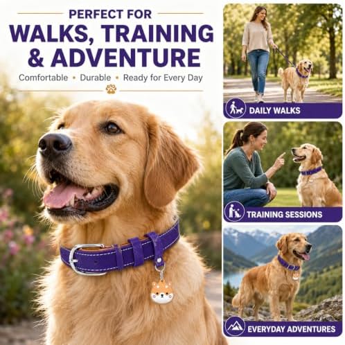 Genuine Leather Dog Collar, Soft Padded Leather Dog Collars with Airtag Holder Case for Small Medium Large X-Large Dogs,Comfort Heavy Duty Pet Collar with Durable Metal Buckle & D-Ring-Dark Purple/M