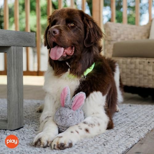 P.L.A.Y. Cute Plush Dog Toys - Forest Friends Critter Themed Durable Squeaker Crinkle Chew Toy, Great for Puppies & Small, Medium, Large Dogs - Machine Washable, Recycled Materials (Bunny)