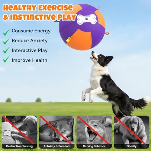 3.0 Upgraded Herding Ball for Dogs - 25" Heavy-Duty Interactive Dog Toy,Reinforced Oxford Cover & Loops,Thick PVC Bladder,Fast Pump,Outdoor Herding Toy for Border Collie,Australian Shepherd