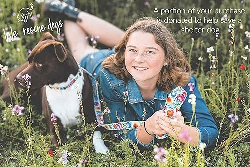 Lucky Love Dog Martingale Collar & Leash Set No Slip Cute – Ladybird, Large