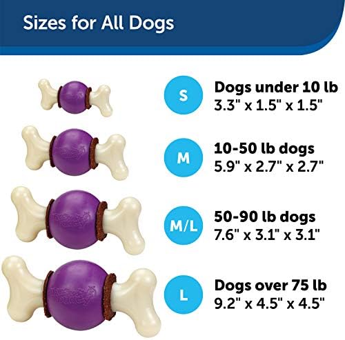 PetSafe Busy Buddy Bouncy Bone Treat Holding Dog Chew Toy, Medium/Large