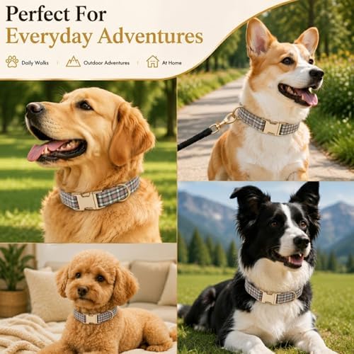 Soft Cotton Dog Collar Classic Plaid Pet Collars with Metal Clasp for Small Dogs with Sensitive Skin, Heritage Red Green