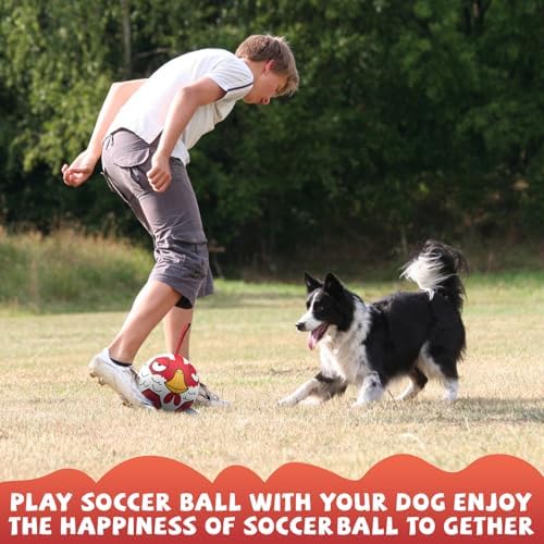 QDAN Dog Ball, Dog Soccer Ball Toy with Straps, Outside Dog Toys,6 Inch