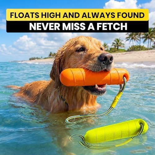Floating Dog Water Toys - 2 Pack, Bumper Throw Stick for Fetch