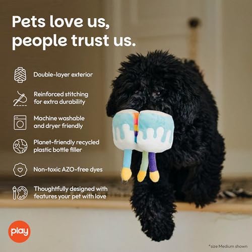 P.L.A.Y. Cute Plush Dog Toys - Birthday Party Celebration Themed Durable Squeaker Chew Toy, for Puppies & Small, Medium, Large Dogs - Machine Washable, Recycled Material (Bone-appetite Cake, Medium)