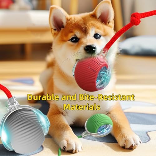 Interactive Dog Cat Toy Ball, Automatic Moving Bouncing Rolling, with Replacement Tail, Pet Smart Chase Ball Rechargeable, Enrichment Toys for Bored Indoor Adult Cats/Dogs (Green)